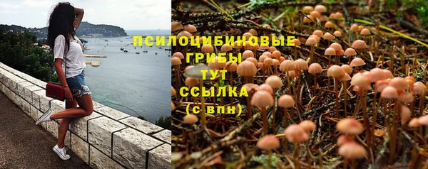 крисы Алексин