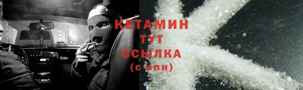 крисы Алексин