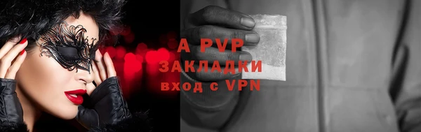 крисы Алексин