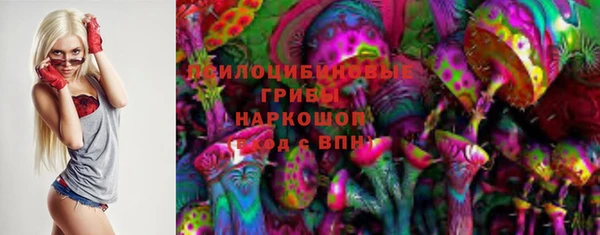 крисы Алексин